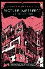 Picture Imperfect & Other Mysteries