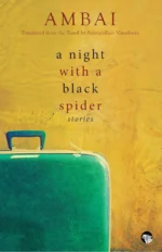 A Night With A Black Spider