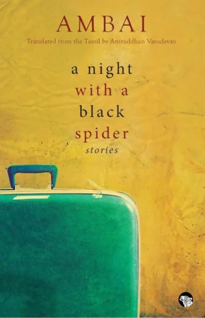 A Night With A Black Spider