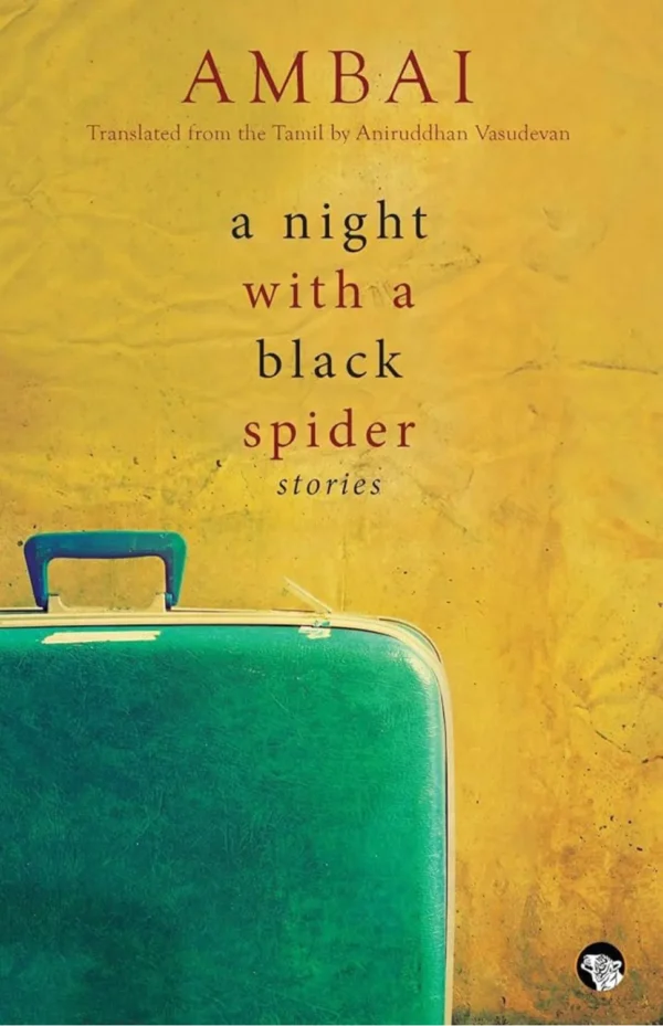 A Night With A Black Spider