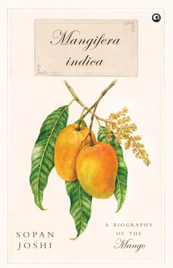 Mangifera Indica